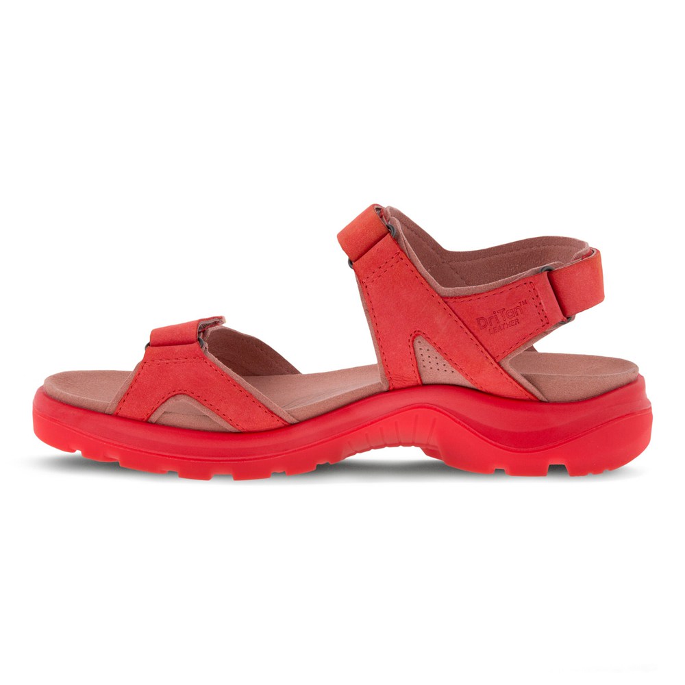 Sandalias Mujer - ECCO Offroad 2.0 3S - Rojos - NZU912568